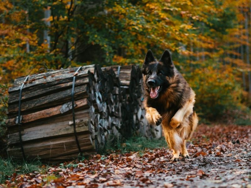 tiim lolywawn8vy unsplash1000 0 0 tiim lolywawn8vy unsplash1000 0 0