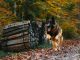 tiim lolywawn8vy unsplash1000 0 0