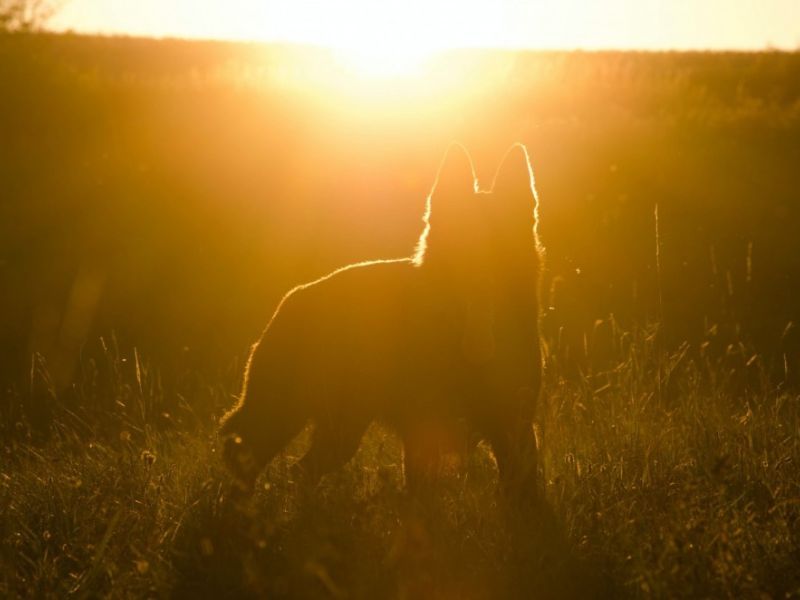 anna dudkova 13cgp2dji0o unsplash1000 0 0 anna dudkova 13cgp2dji0o unsplash1000 0 0