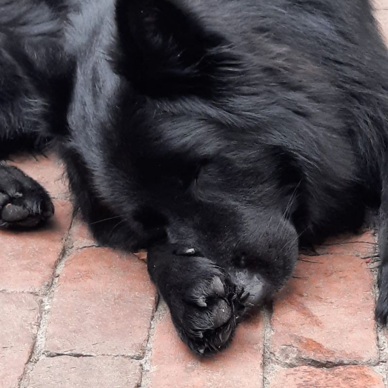 2bd0dff8 218b 4c4f b302 082c3c2bd5c6