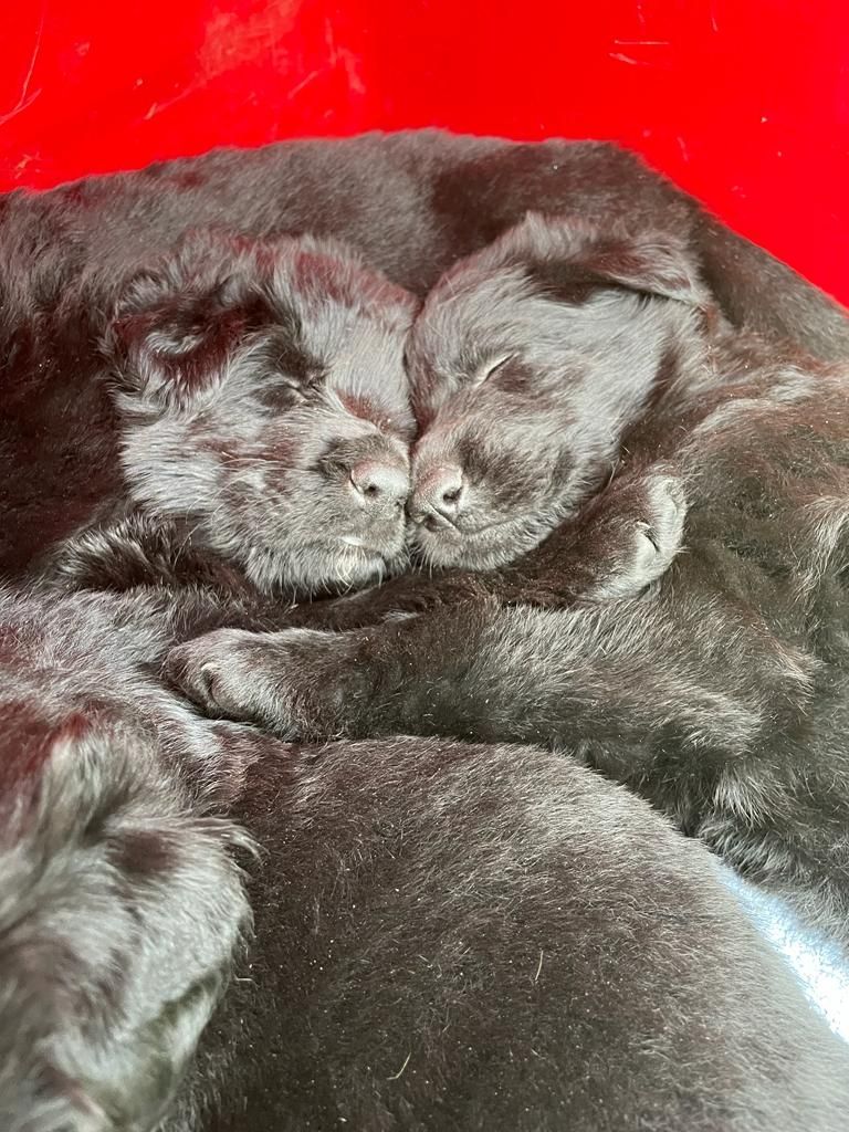 6dc1bb0c d389 4d7b beca 8bd2aee87cc5